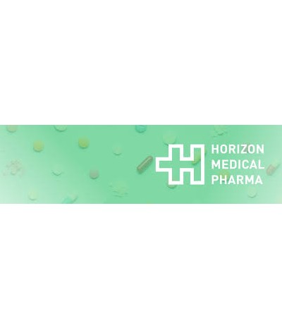 logo horizon medical