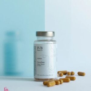 IVB - CIRCUDEN